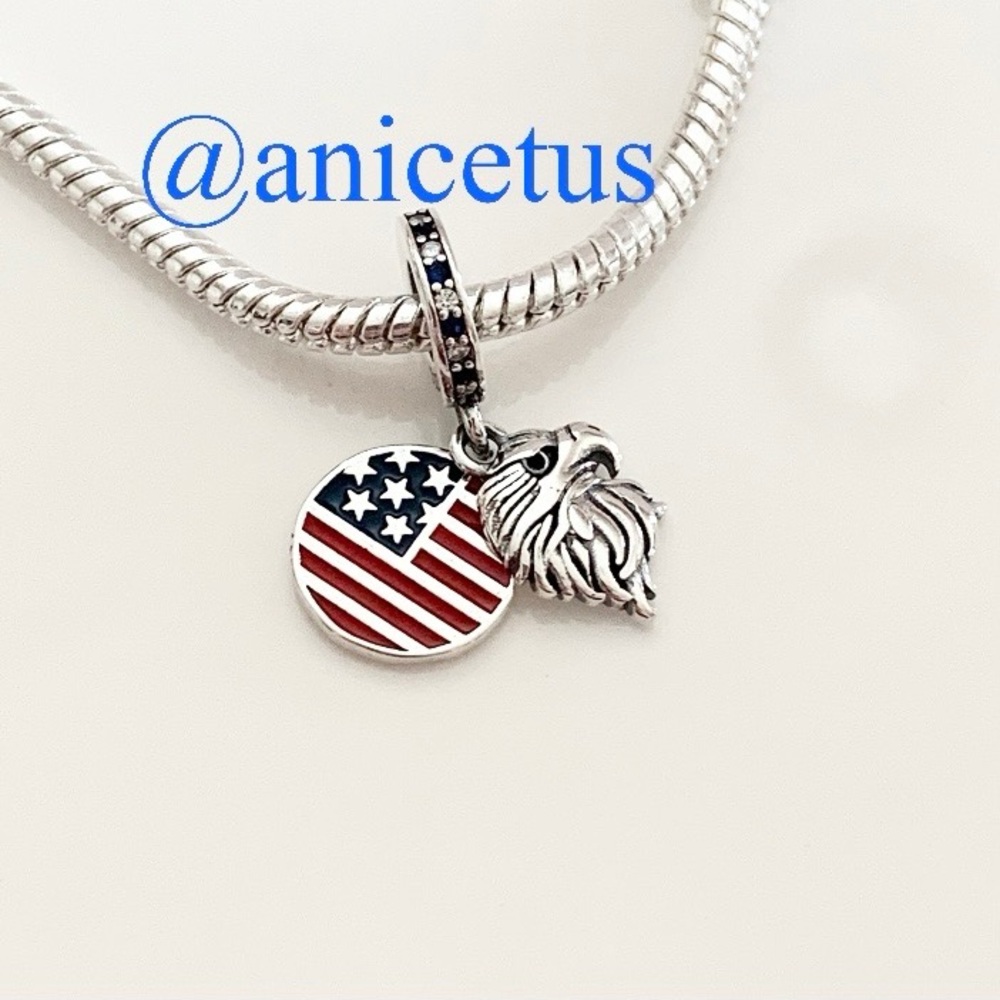 NWOT S925 Sterling Silver Eagle & USA America Flag Dangle Charm